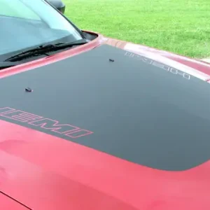 2006-2010 Dodge Charger Chargin' 4 & 5 Graphic Kit