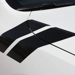 2011-2025 Dodge Durango Double Bar Graphic Kit