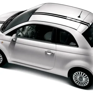 2011-2017 Fiat 500 Euro Rally Kit