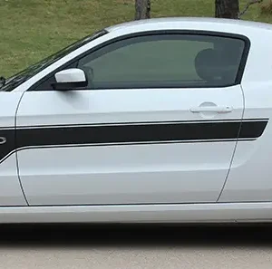 2013-2014 Mustang Flight Graphic Kit