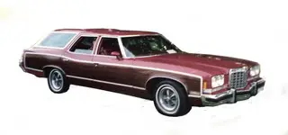 Early GM Dark Walnut Digital Reproduction Wood Grain Vinyl Replacement Kit - Image 2