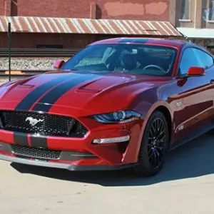 Mustang Stage Rally Stripes
