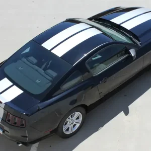 2013-2014 Ford Mustang Thunder Graphic Kit