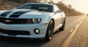 82-84 Z28 Chevrolet Camaro Hood Insert Decal