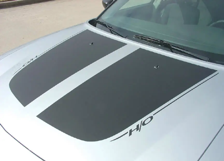 2006-2010 Dodge Charger Chargin' Graphic Kit