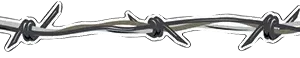 1" Wicked Wire Barbed Wire Stripe